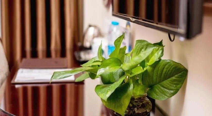 GreenTree Inn Guangzhou Baiyun International Airport Huaxi Road Express Hotel