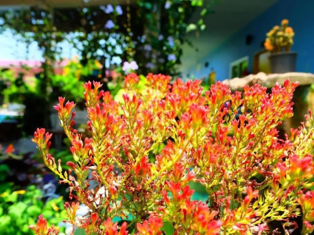 Rommai Rimnaam Resort