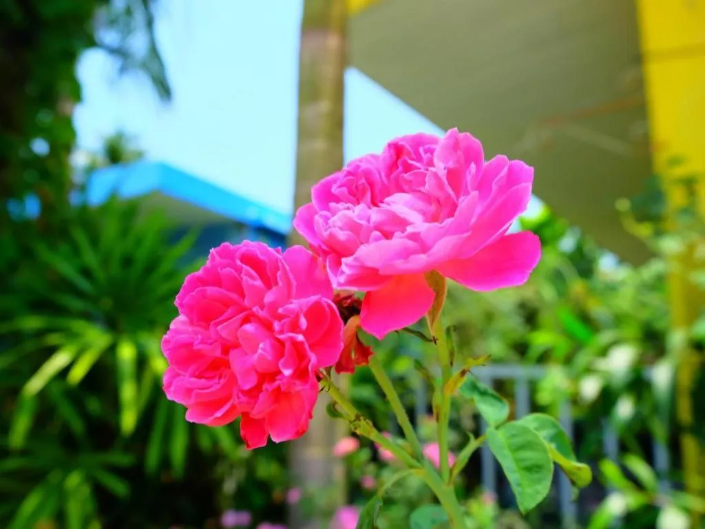 Rommai Rimnaam Resort