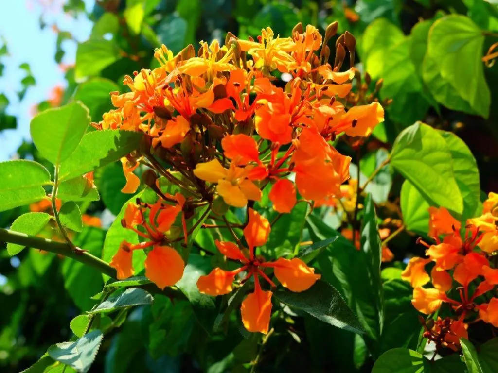 Rommai Rimnaam Resort