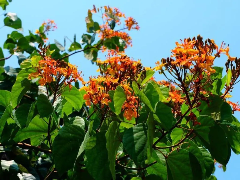 Rommai Rimnaam Resort