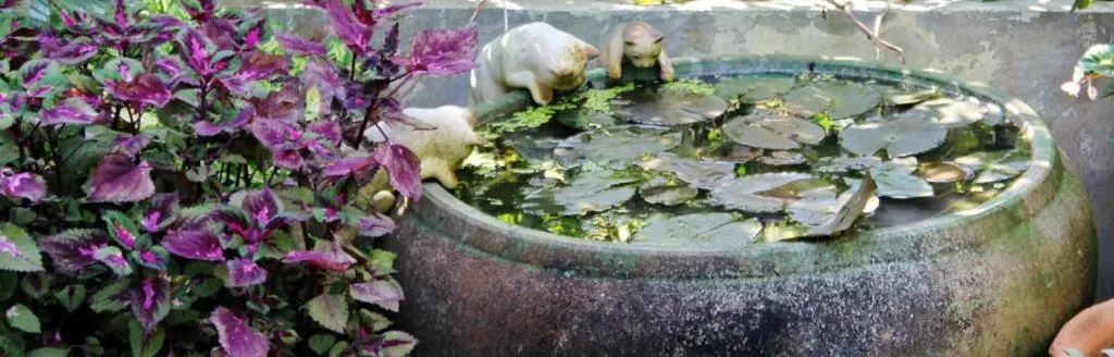 Rommai Rimnaam Resort