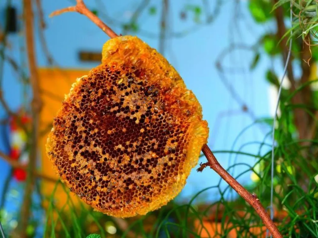 Rommai Rimnaam Resort