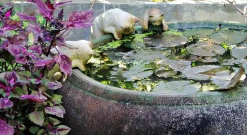 Rommai Rimnaam Resort