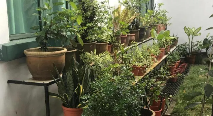 Lai Ming Hotel Cosmoland