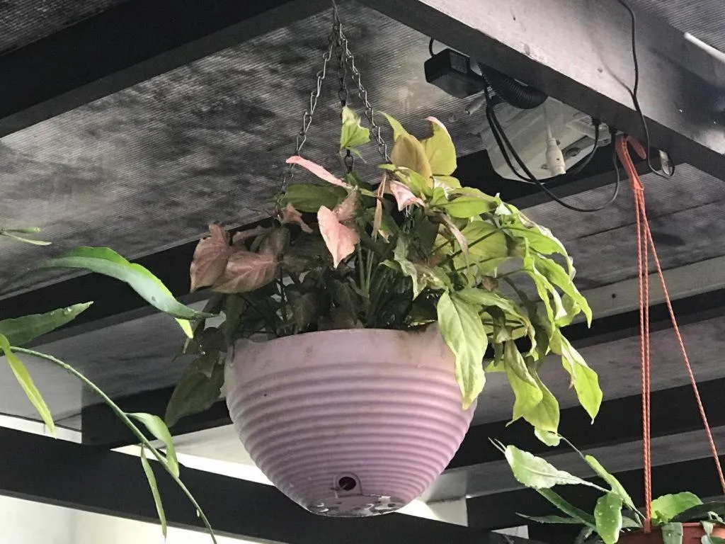 Lai Ming Hotel Cosmoland