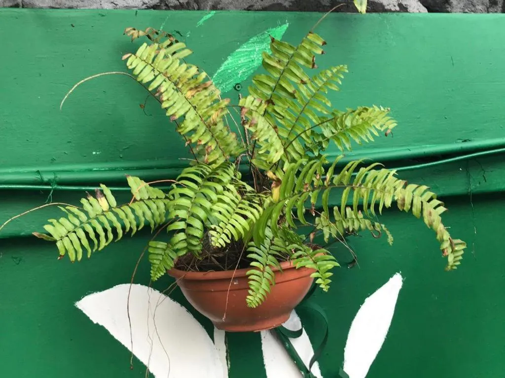 Lai Ming Hotel Cosmoland