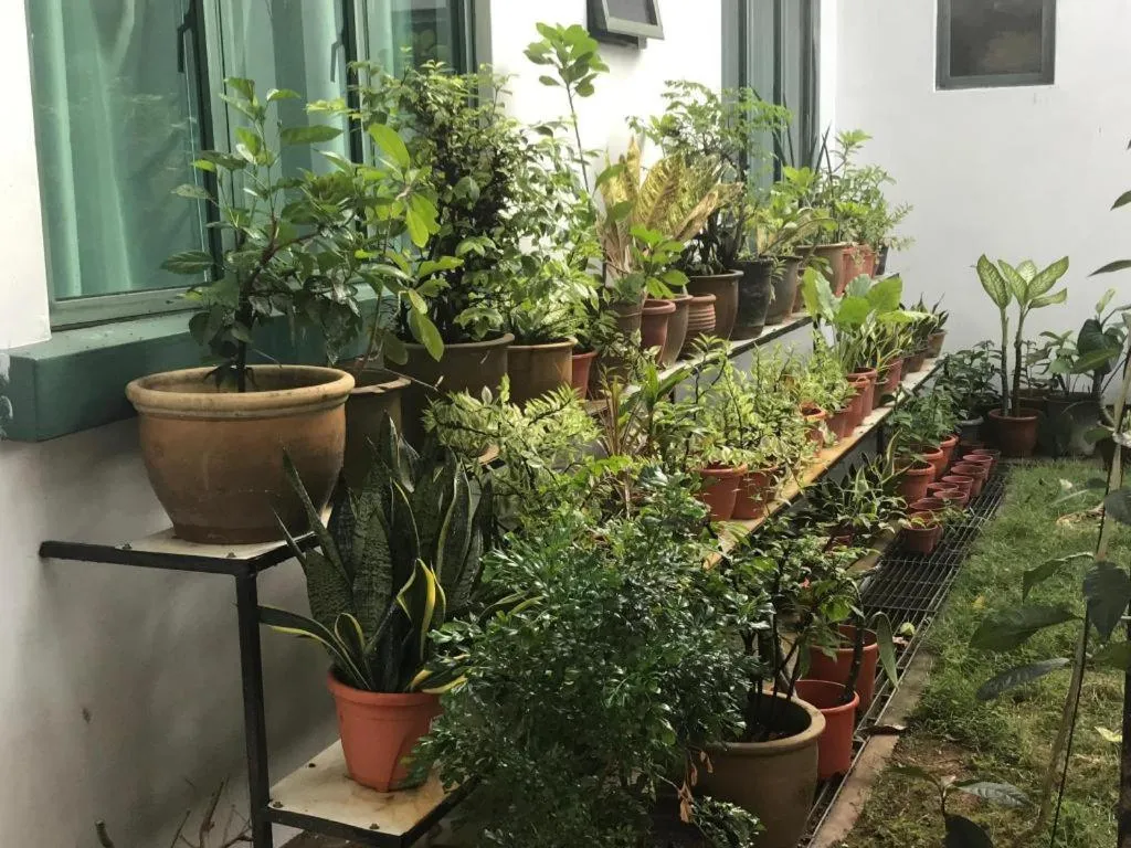 Lai Ming Hotel Cosmoland