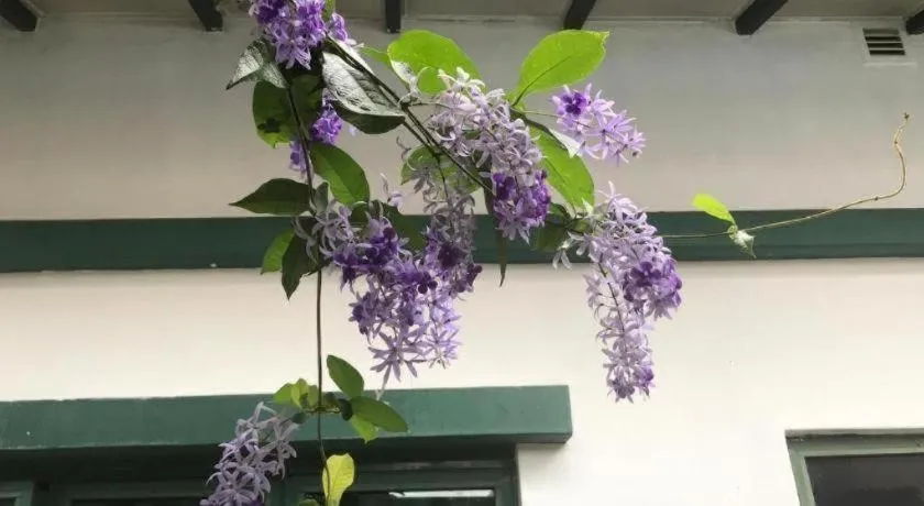 Lai Ming Hotel Cosmoland