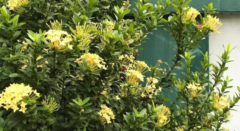 Lai Ming Hotel Cosmoland