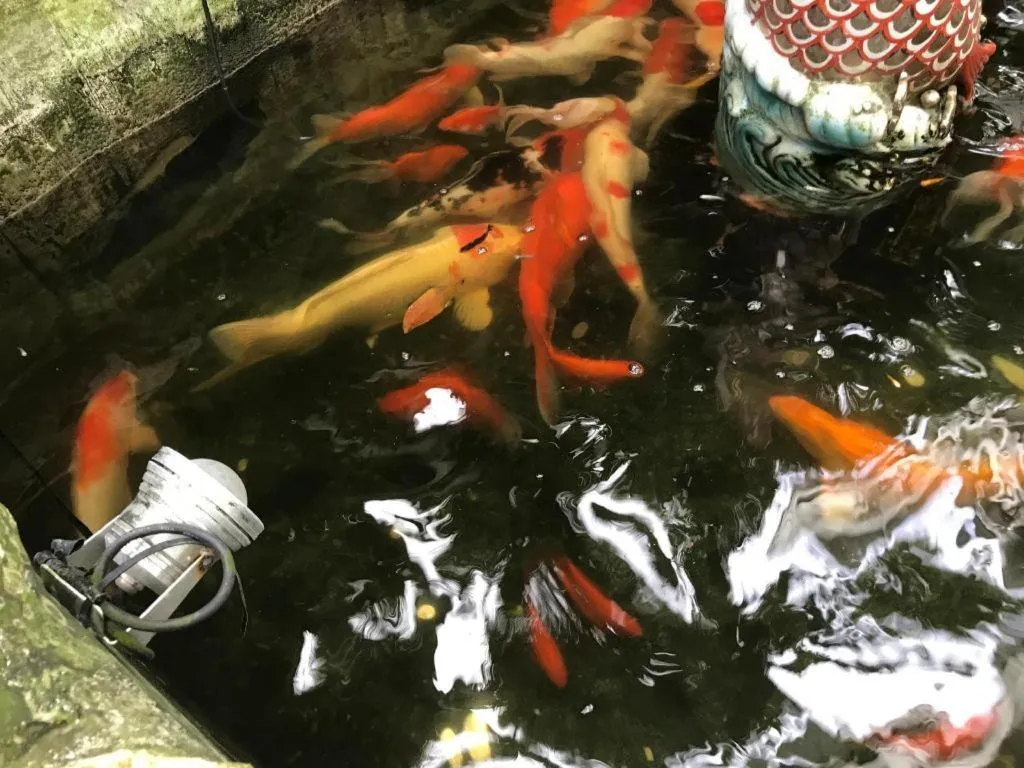 Lai Ming Hotel Cosmoland