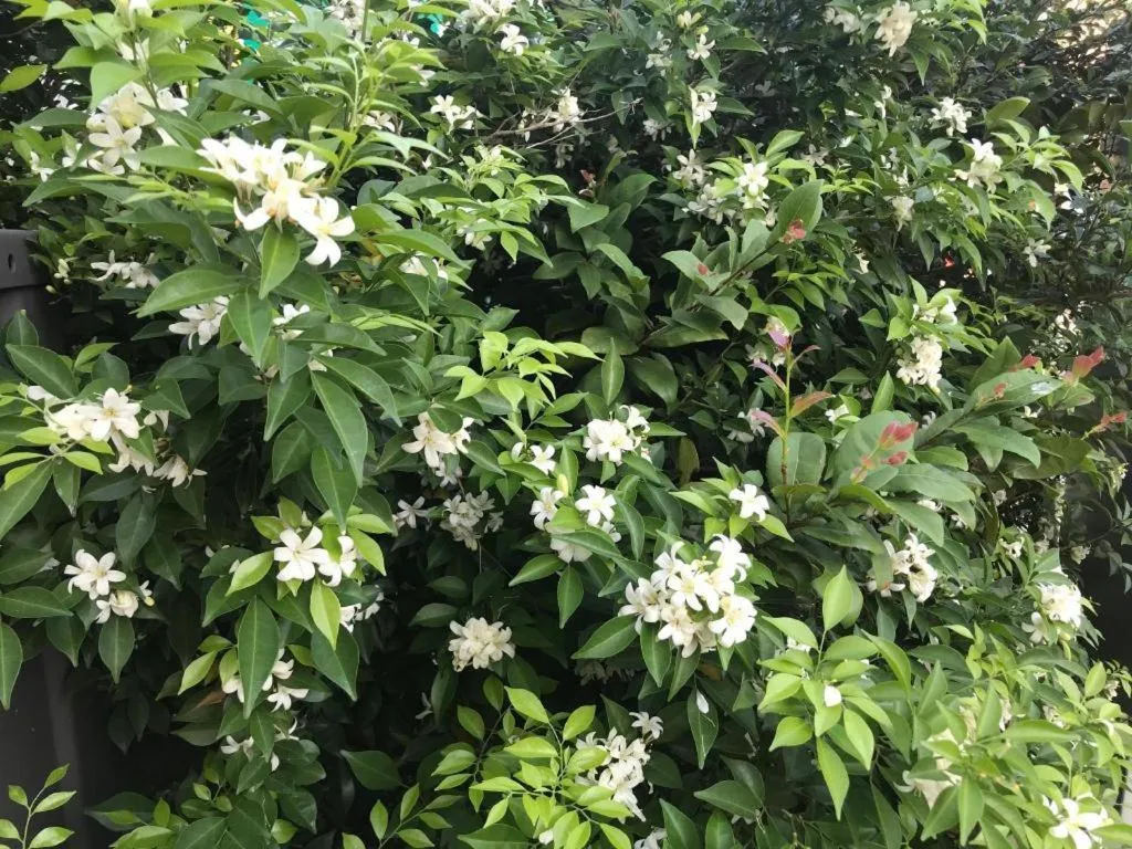 Lai Ming Hotel Cosmoland