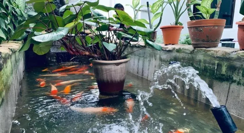 Lai Ming Hotel Cosmoland