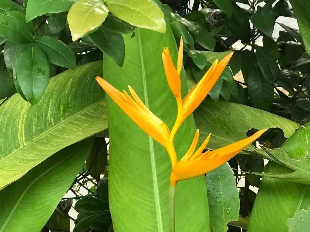 Lai Ming Hotel Cosmoland