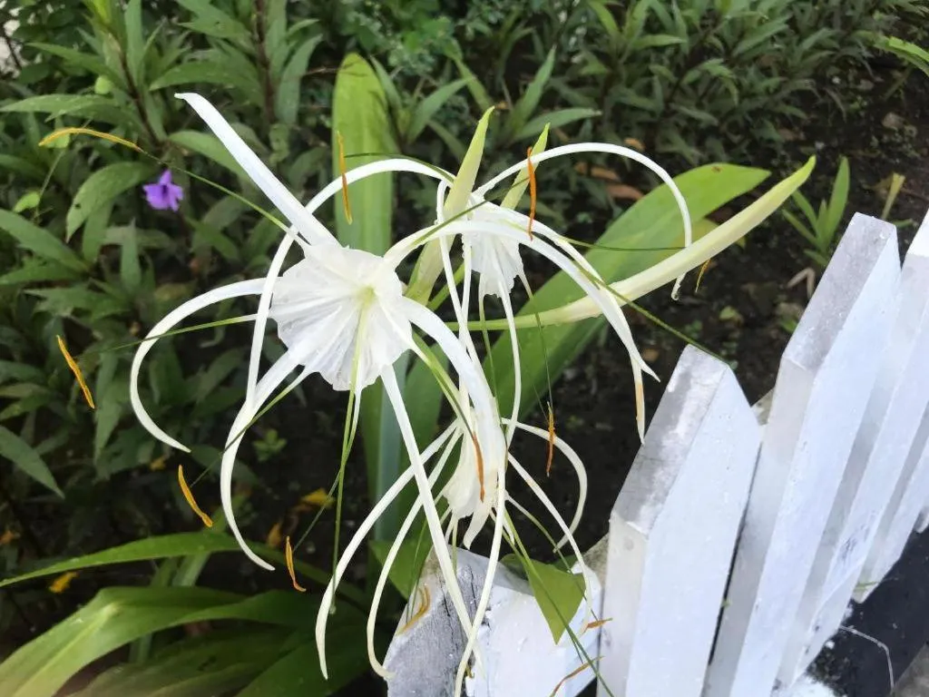 Lai Ming Hotel Cosmoland