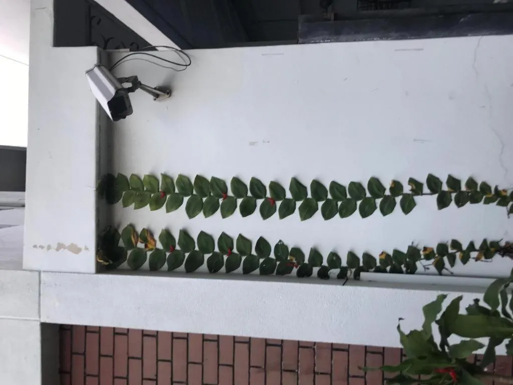 Lai Ming Hotel Cosmoland