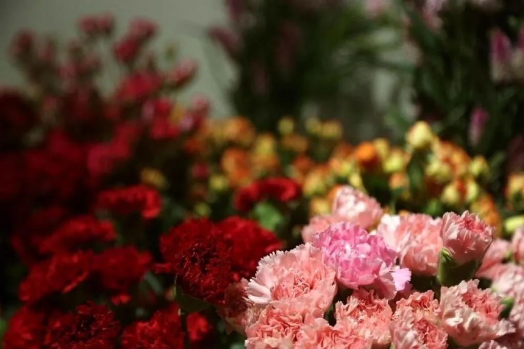 Mangrove Tree Resort World Qingdao