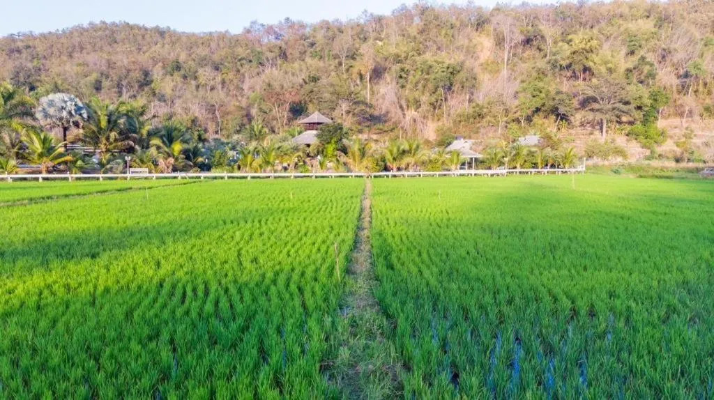 The White House Boutique Resort