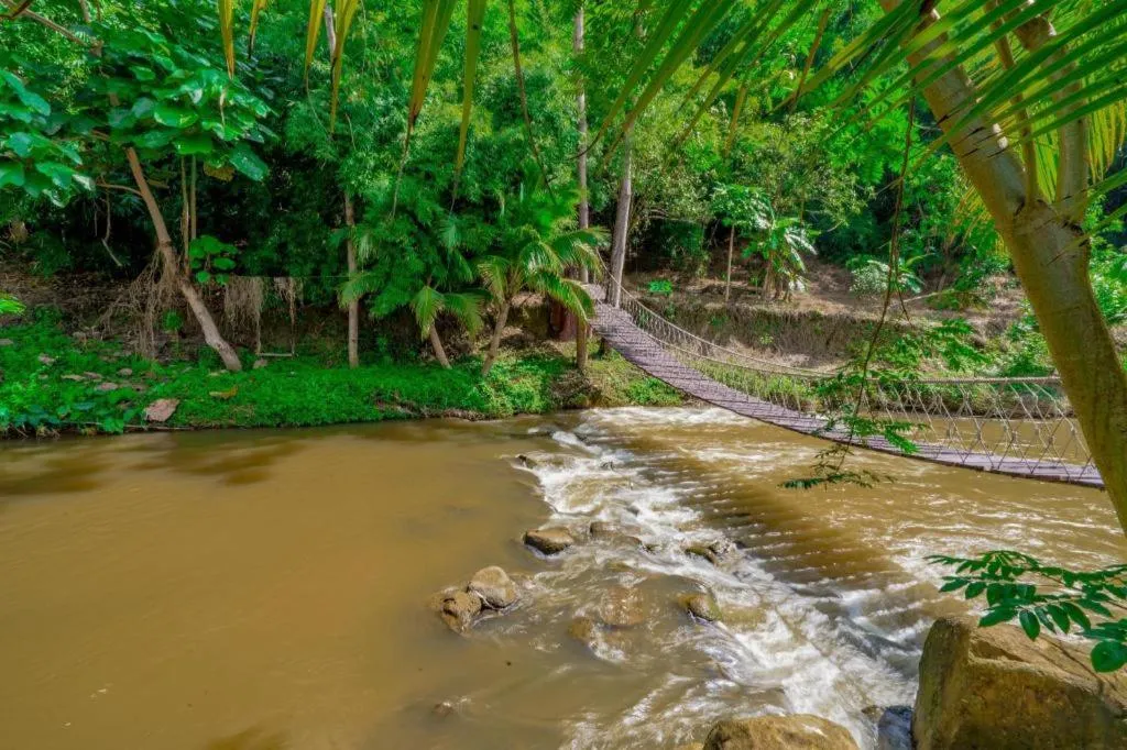 The White House Boutique Resort