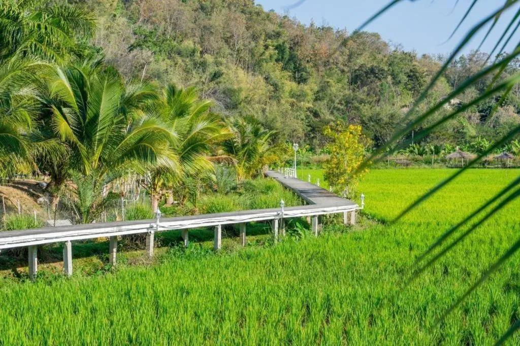 The White House Boutique Resort