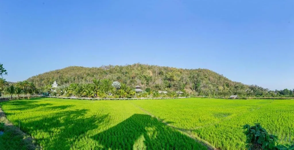 The White House Boutique Resort