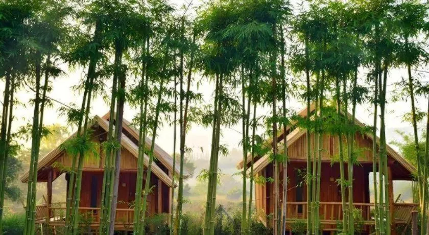 Baansuanpai Noppakao