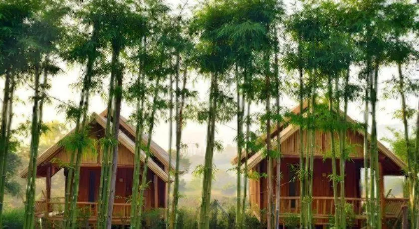 Baansuanpai Noppakao