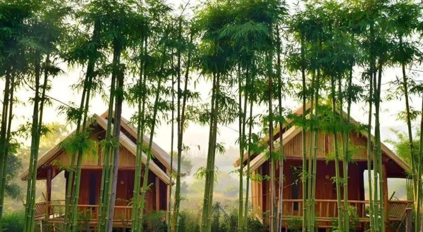 Baansuanpai Noppakao