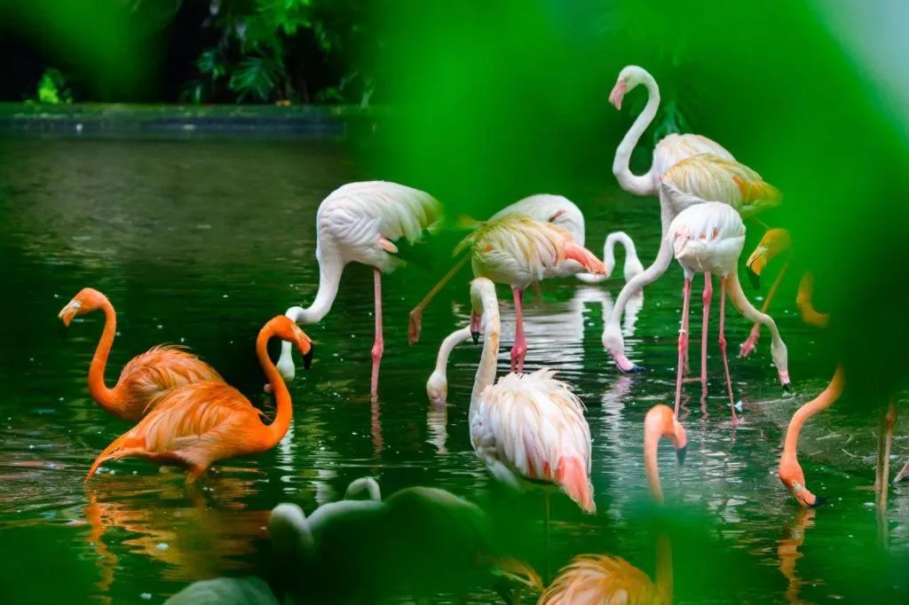 IU Hotel Guangzhou Sports Center Lin He West Metro Branch