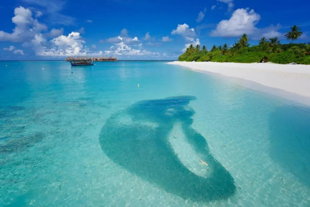 Angaga Island Resort and Spa