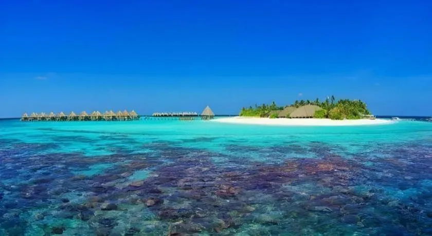 Angaga Island Resort and Spa