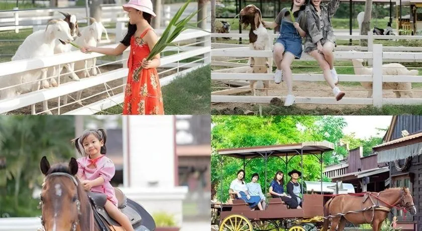 Verona Boutique Hotel - The Verona Co., Ltd