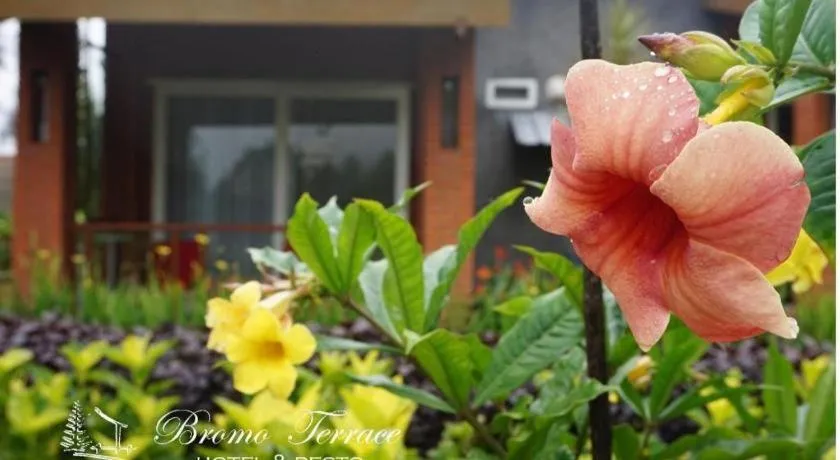 Bromo Terrace Hotel