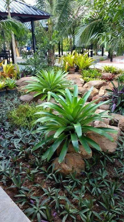 Nangrong garden home