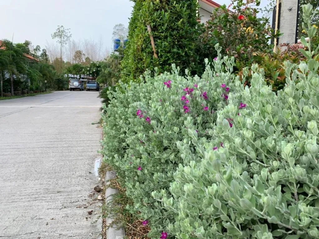 Nangrong garden home