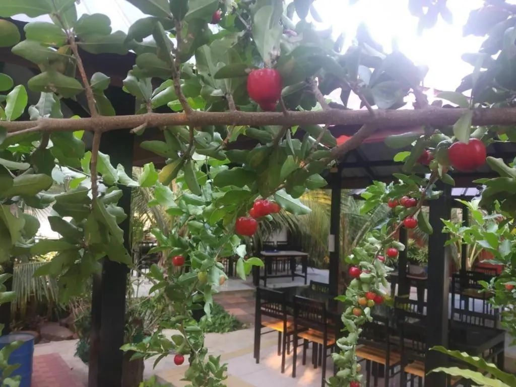 Nangrong garden home