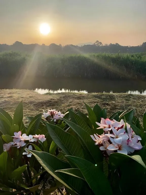 Pingview Villa Resort