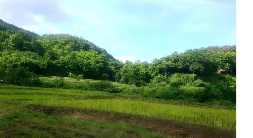 Peisanae Faikeng Resort