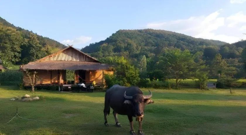 Peisanae Faikeng Resort