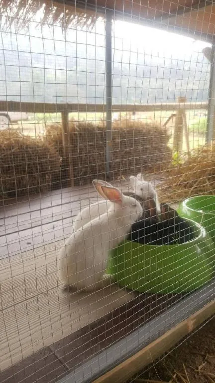 Peisanae Faikeng Resort