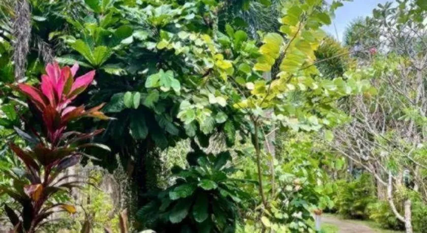 Sanook Sanang Resort