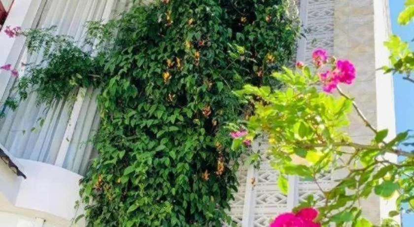 La Roza Dalat Boutique Hotel