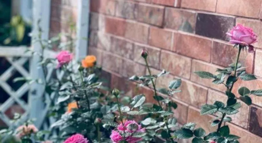 La Roza Dalat Boutique Hotel