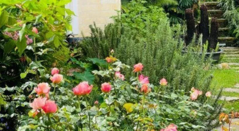 La Roza Dalat Boutique Hotel