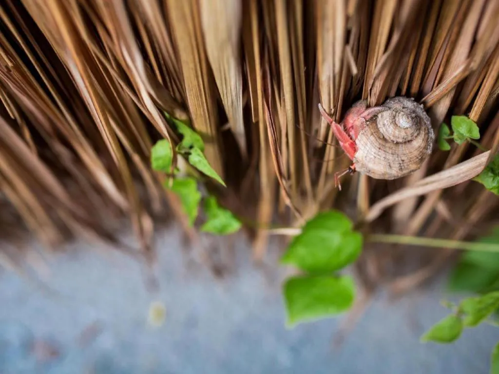 Koh Mook De Tara Beach Resort
