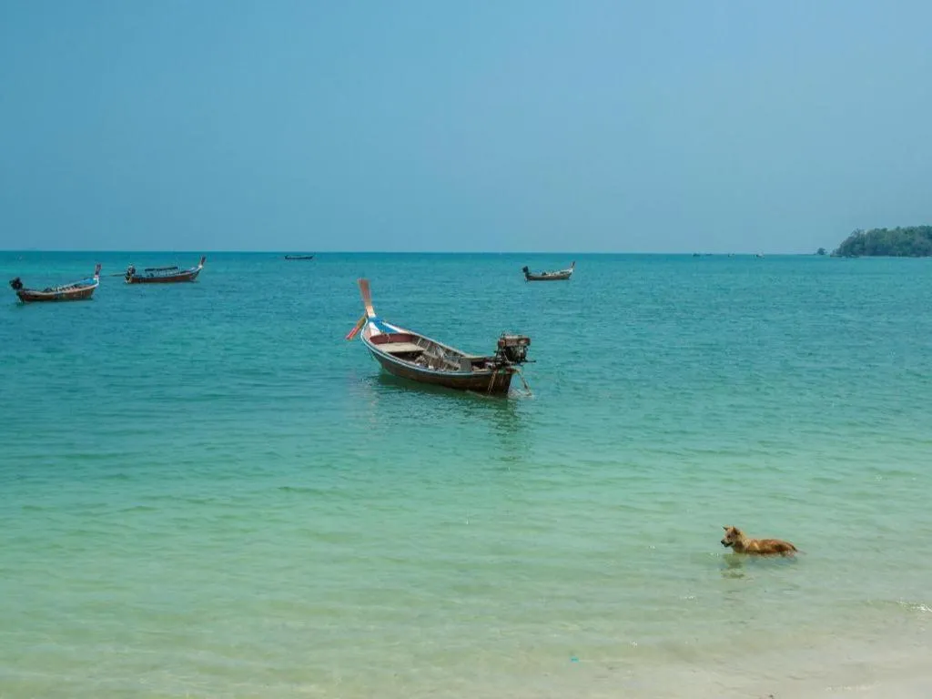 Koh Mook De Tara Beach Resort