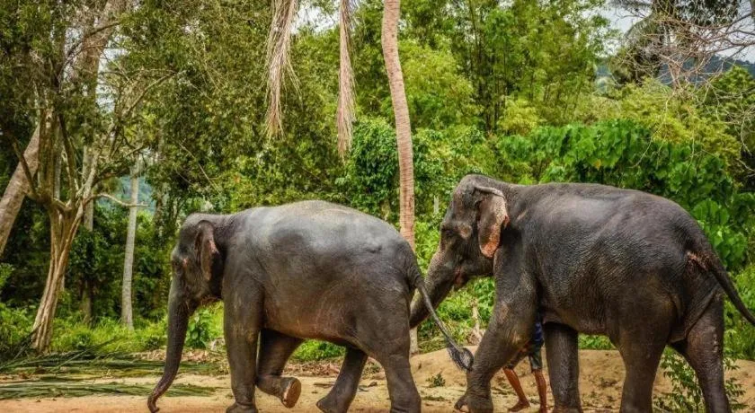 Lucky Mother Bungalow