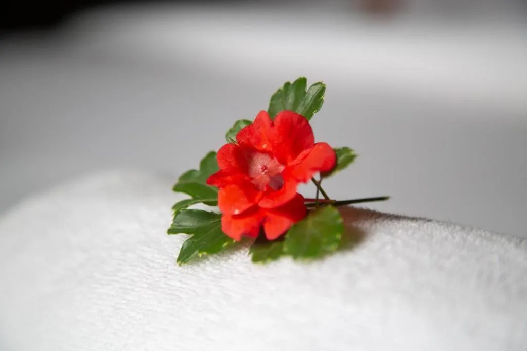 Le Bassin Erawan Resort