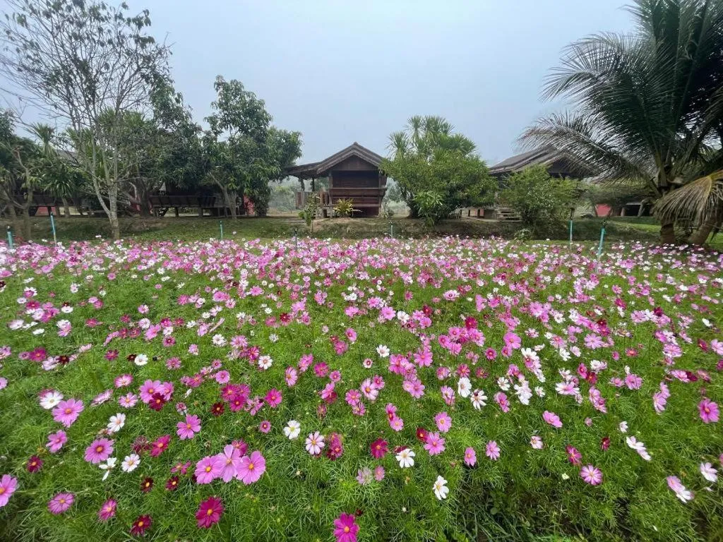 Nai Khun Khao Resort