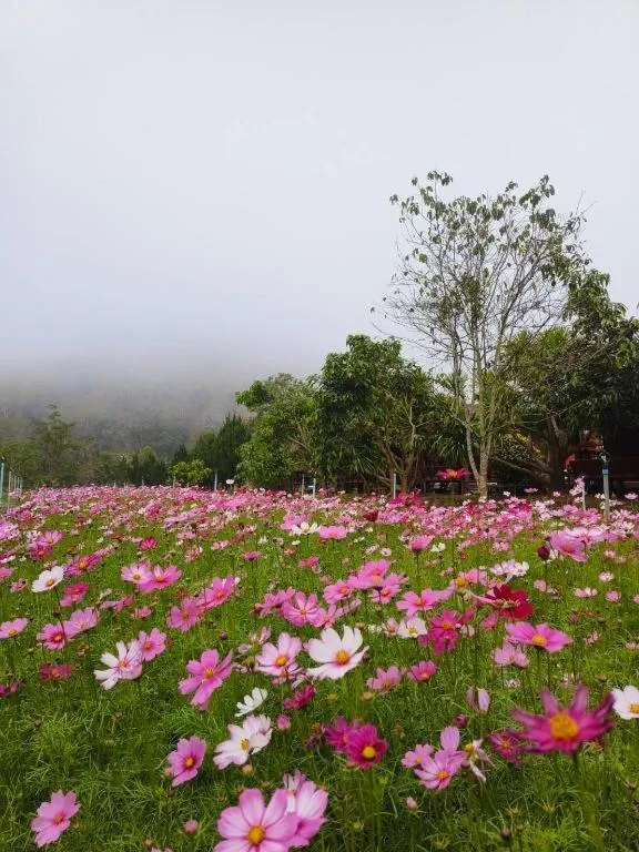 Nai Khun Khao Resort